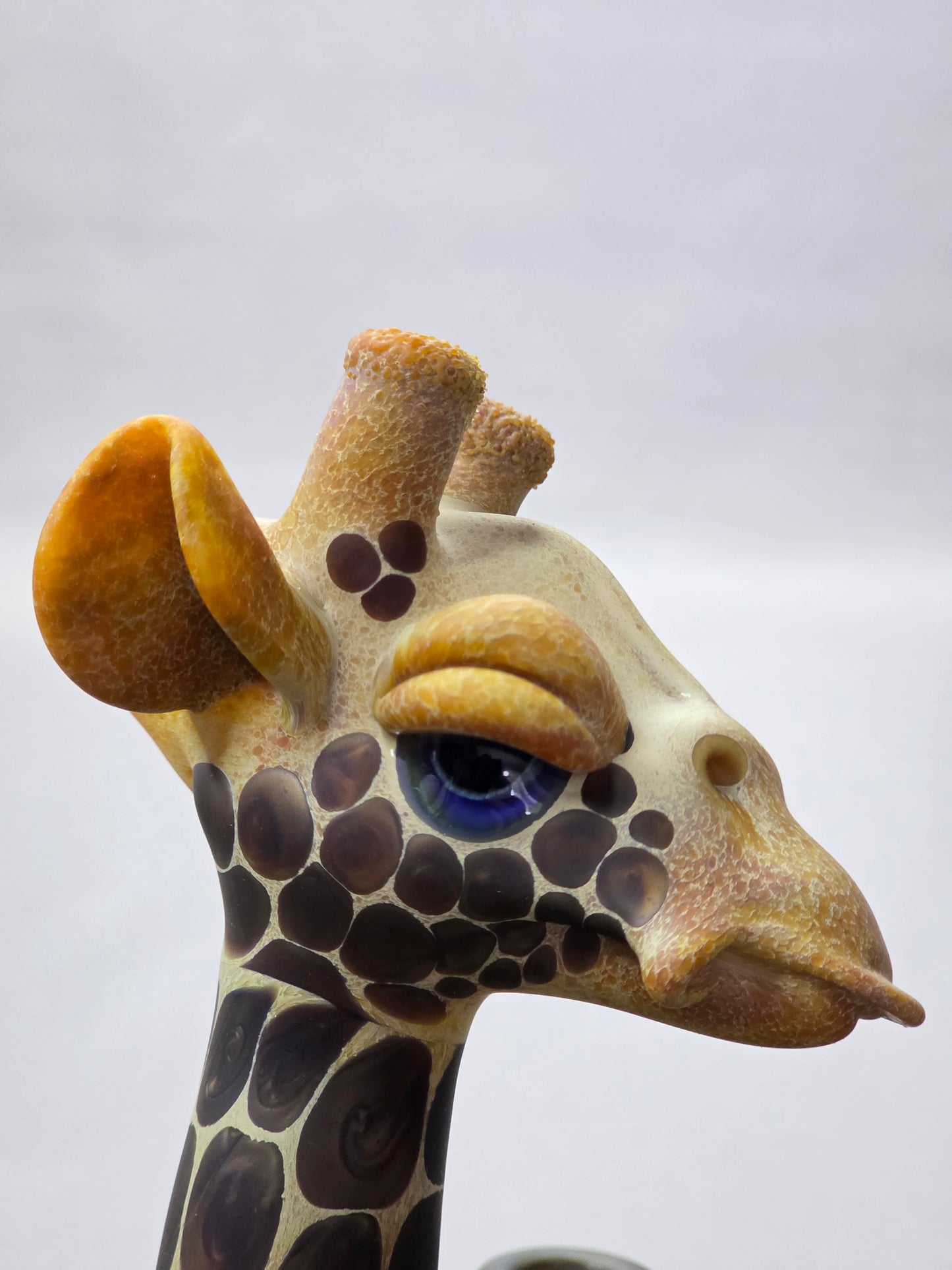 Robertson Glass Giraffe glass rig on a light grey background