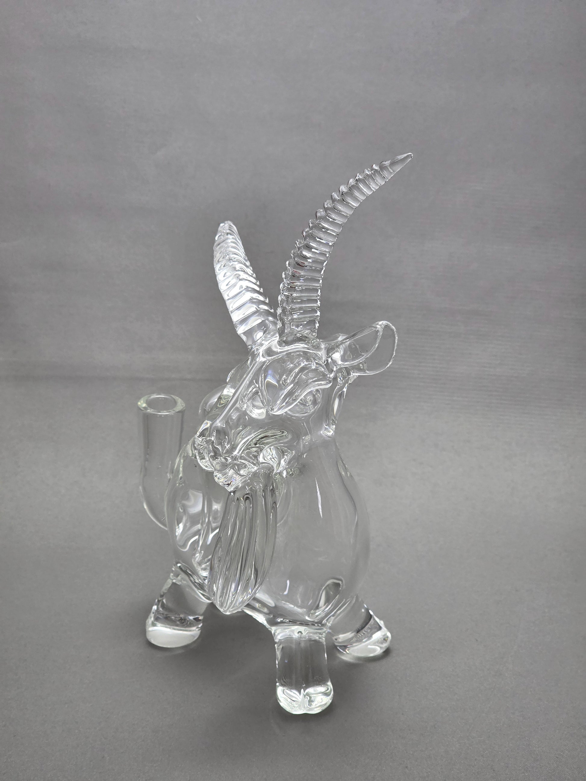 Robertson Glass Rig. Clear Goat glass rig on a white background 