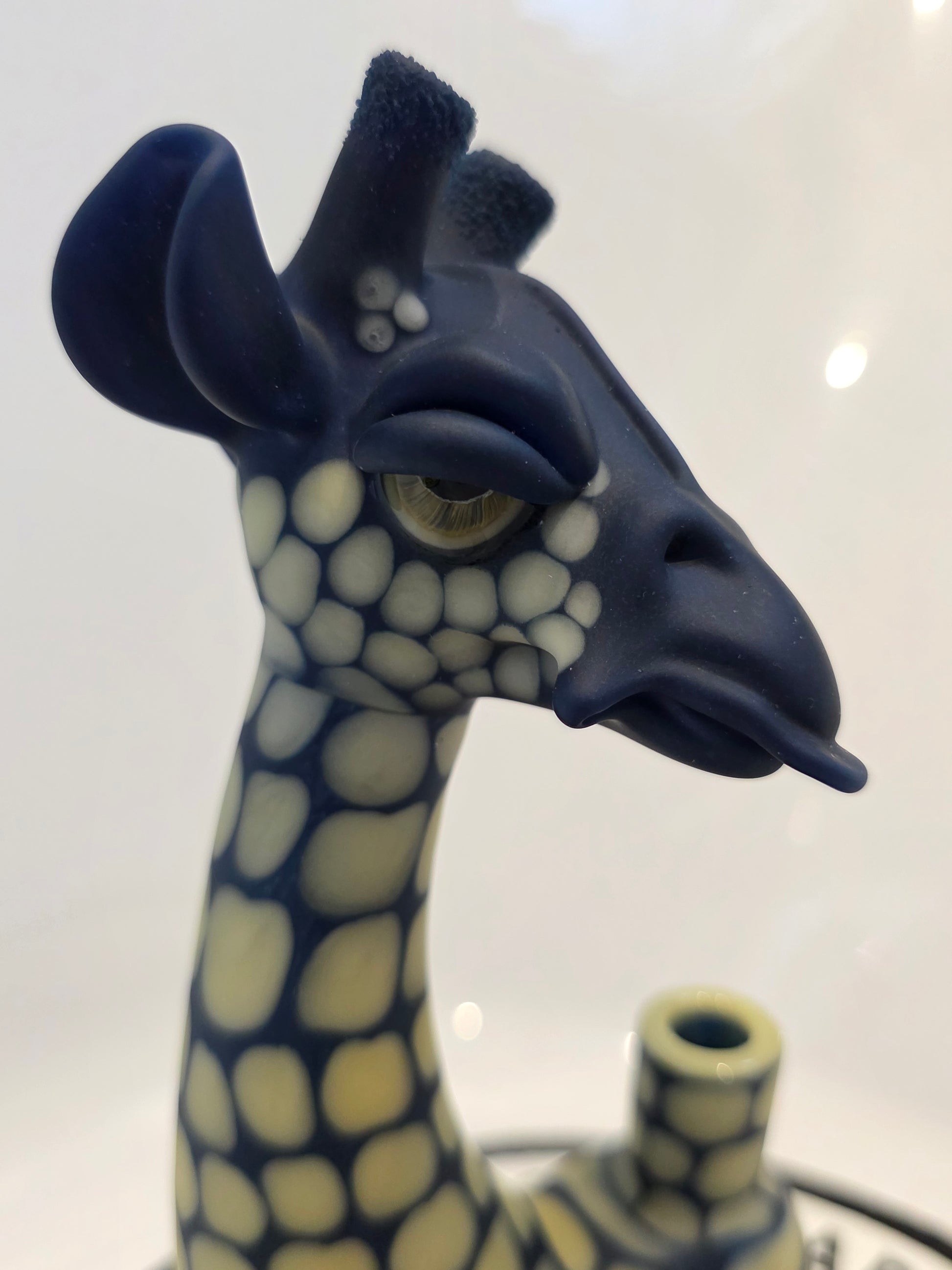 Robertson Glass Giraffe Glass Rig on a white background