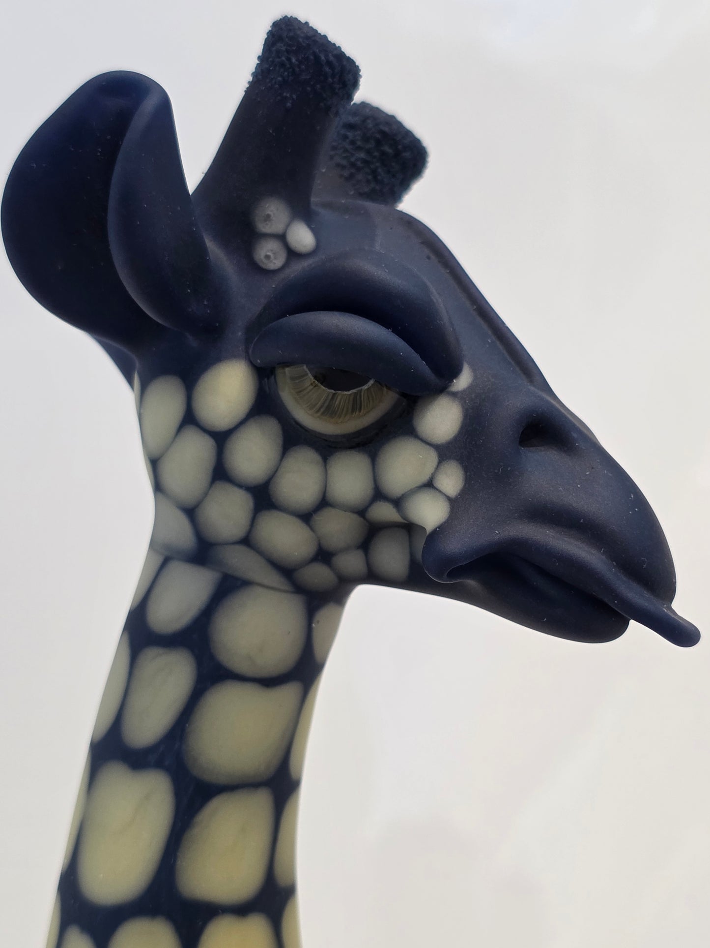 Robertson Glass Giraffe Glass Rig on a white background