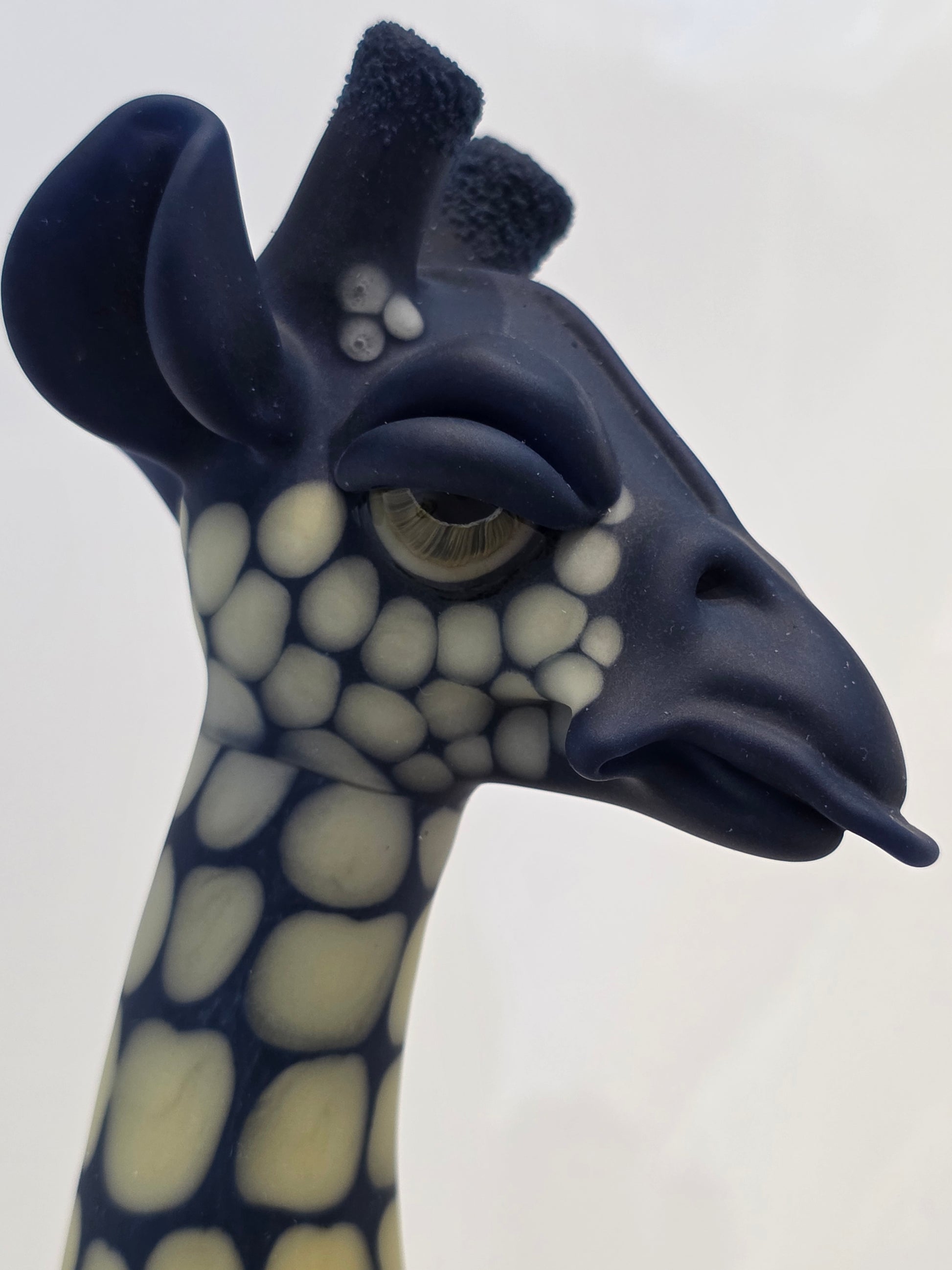 Robertson Glass Giraffe Glass Rig on a white background