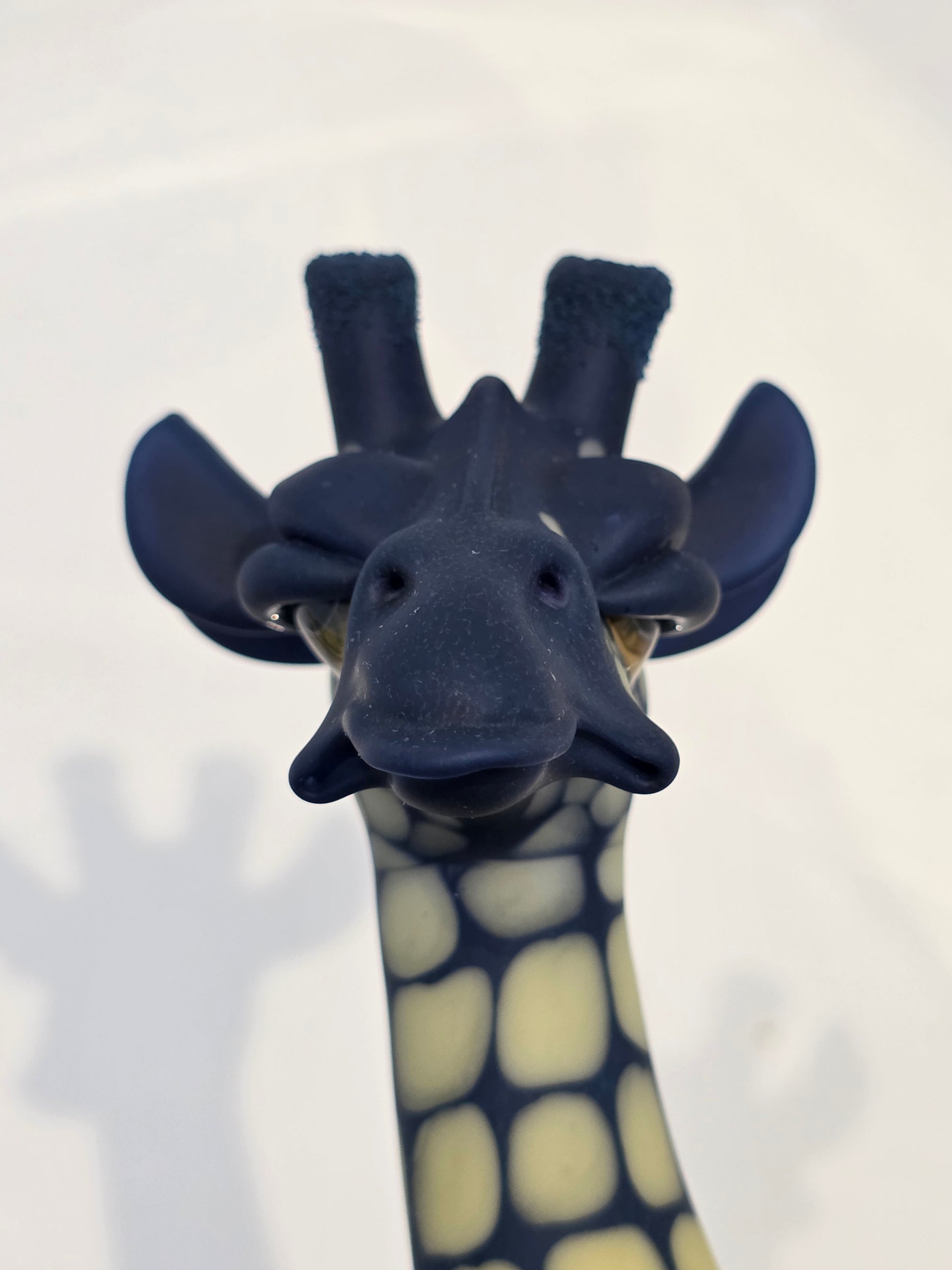 Robertson Glass Giraffe Glass Rig on a white background