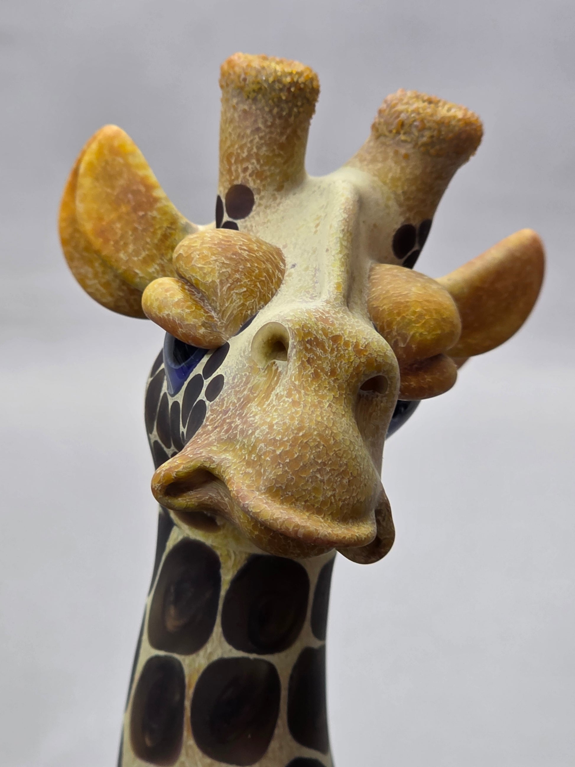Robertson Glass Giraffe glass rig  on a light grey background