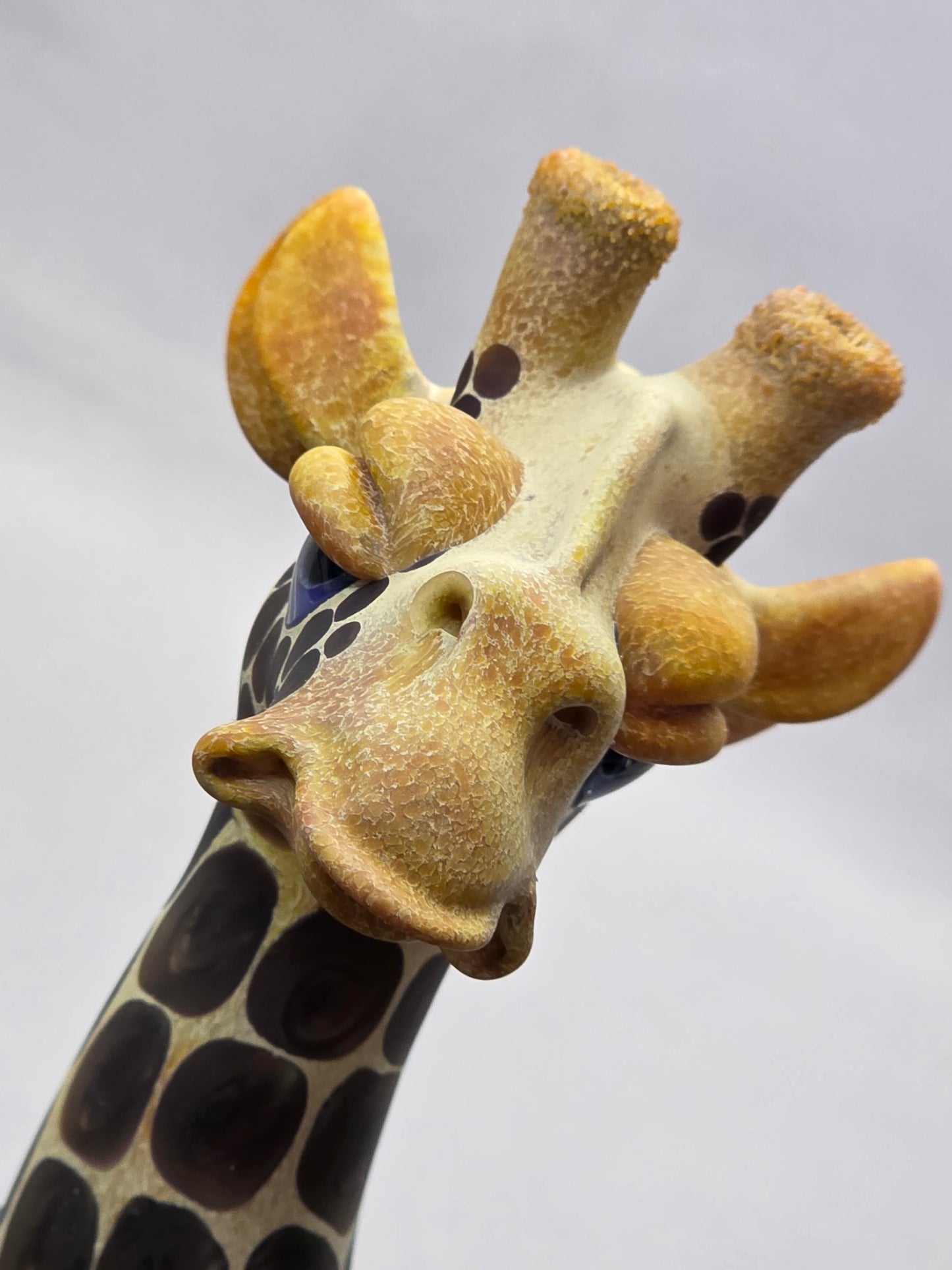 Robertson Glass Giraffe glass rig  on a light grey background