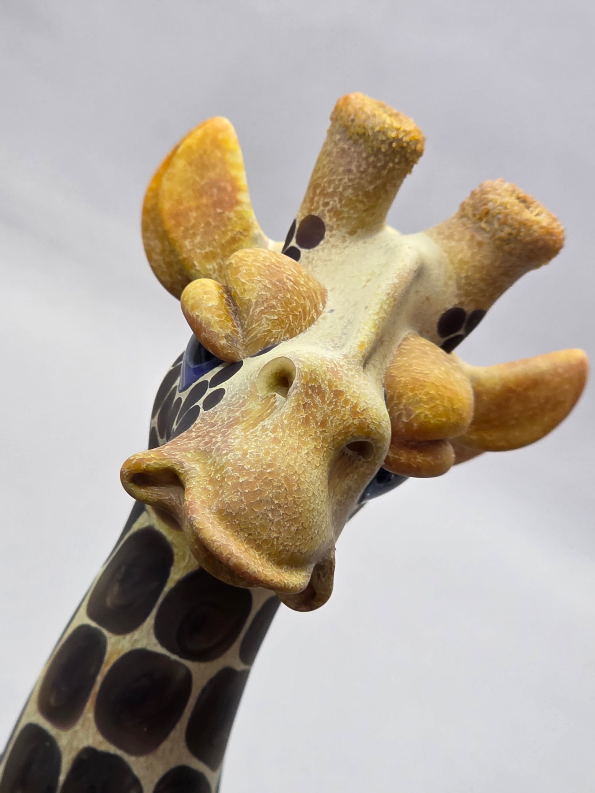 Robertson Glass Giraffe glass rig  on a light grey background