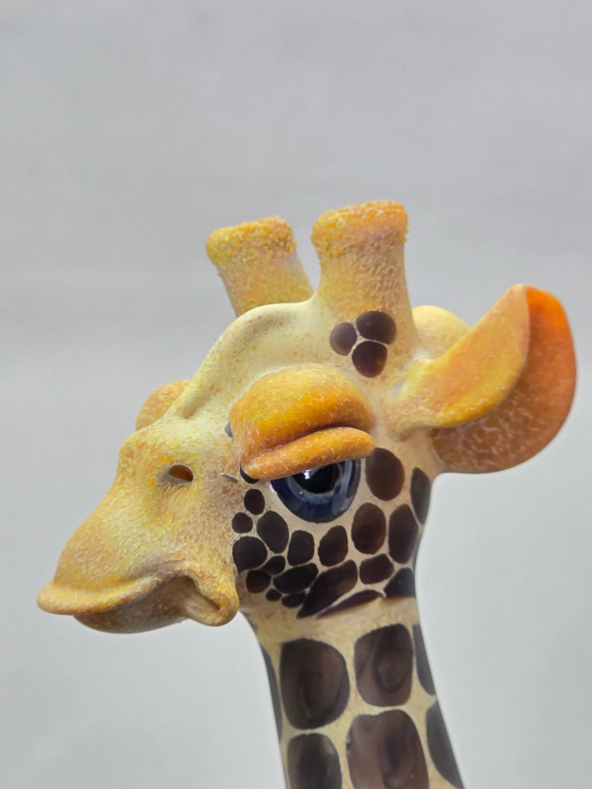 Robertson Glass Giraffe glass rig  on a light grey background