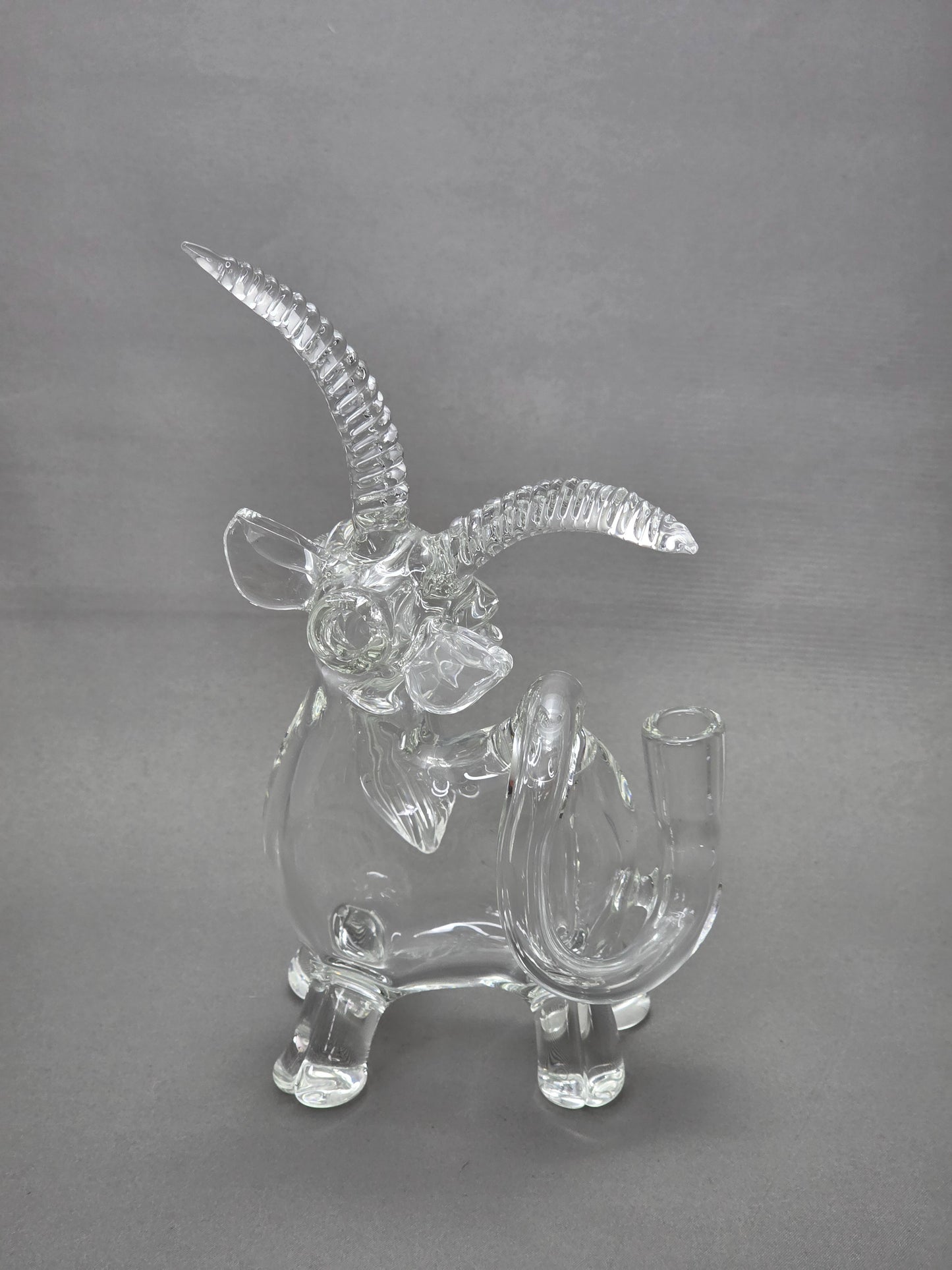 Robertson Glass Rig. Clear Goat glass rig on a white background 