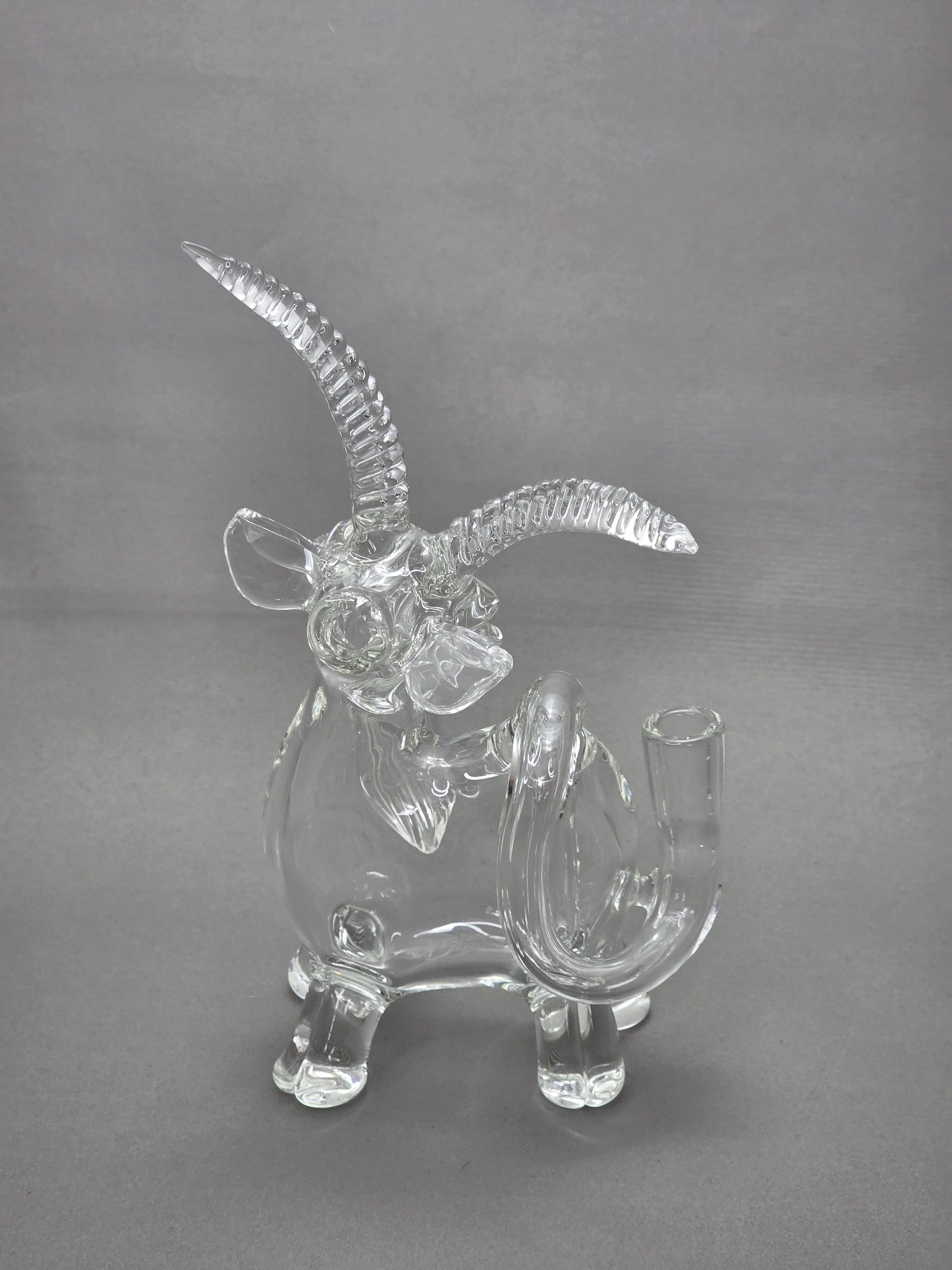 Robertson Glass Rig. Clear Goat glass rig on a white background 